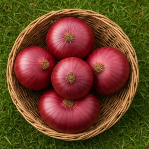 red creole onion seeds non gmo heirloom vegetable seeds